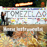 image for Hibrid Instrumental