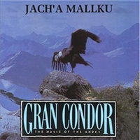 image for Gran Condor